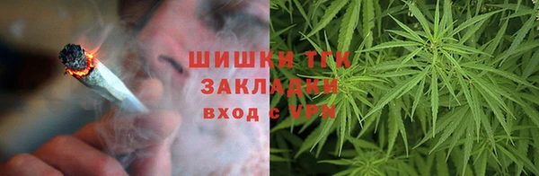 стафф Коряжма