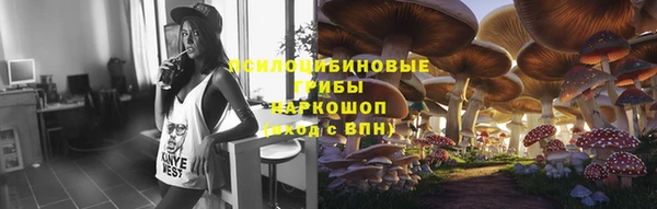 марки lsd Корсаков