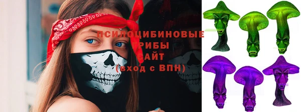 твердый Костерёво