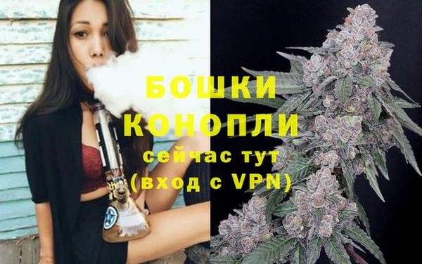spice Козловка