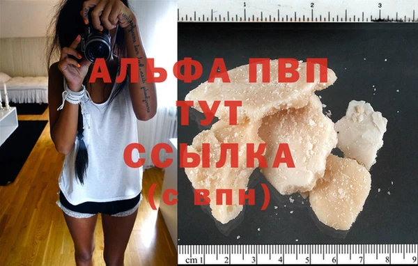 стафф Коряжма