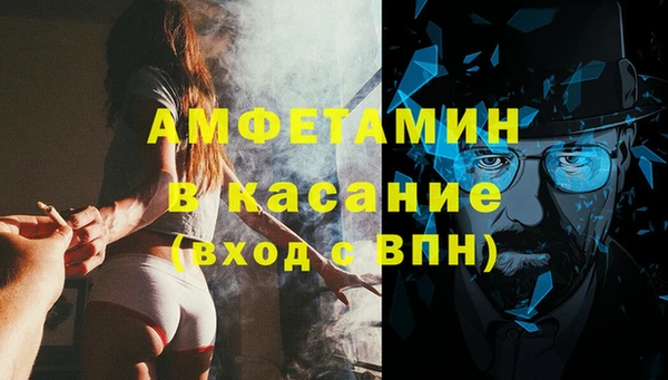 мдпв Краснослободск