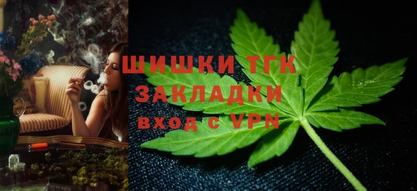 стафф Коряжма