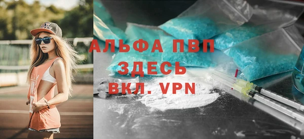 мдпв Краснослободск