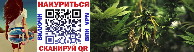 Конопля планчик  Кириши 